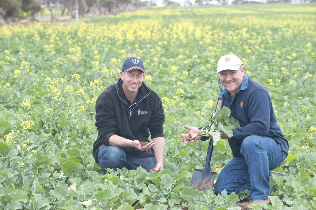 Wheatbelt NRM's Chris Kennedy (left) with agronomist David Stead, who is testing changes in nitrogen in soils at 126 sites throughout the Wheatbelt.