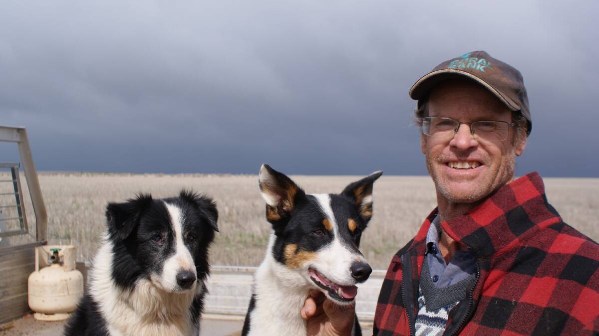 WAMMCO Producer of the Month for July 2017 Darrel Hudson, Dowerin, with his sheep dogs Ozzie and Charley.