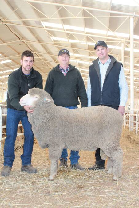 The Wililoo stud, Woodanilling, topped the Merino side of the catalogue at last year's sale selling a Merino sire for $2500 and a Poll Merino ram for $1650. With the stud's top-priced Poll Merino ram are Wililoo stud principal Rick Wise (left), buyer and long term client Peter Battersby, Knowsley Grazing and Primaries agent Sean Gillespie.