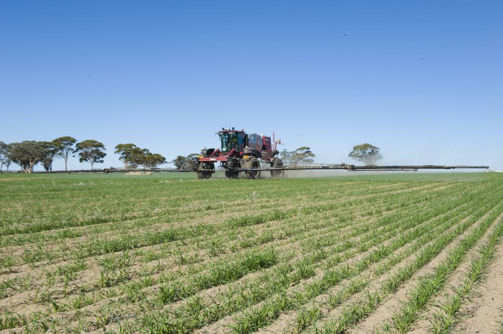 Grain growers have been urged to balance spring weed control strategies to optimise crop paddock potential.