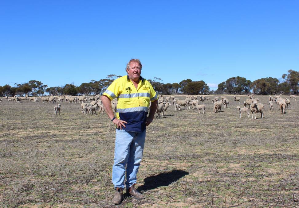 Gary Greaves' farm Journey's End in the WA Wheatbelt is sheep and wheat country, but according to Mr Greaves his sheep and wool will carry the farm this year.