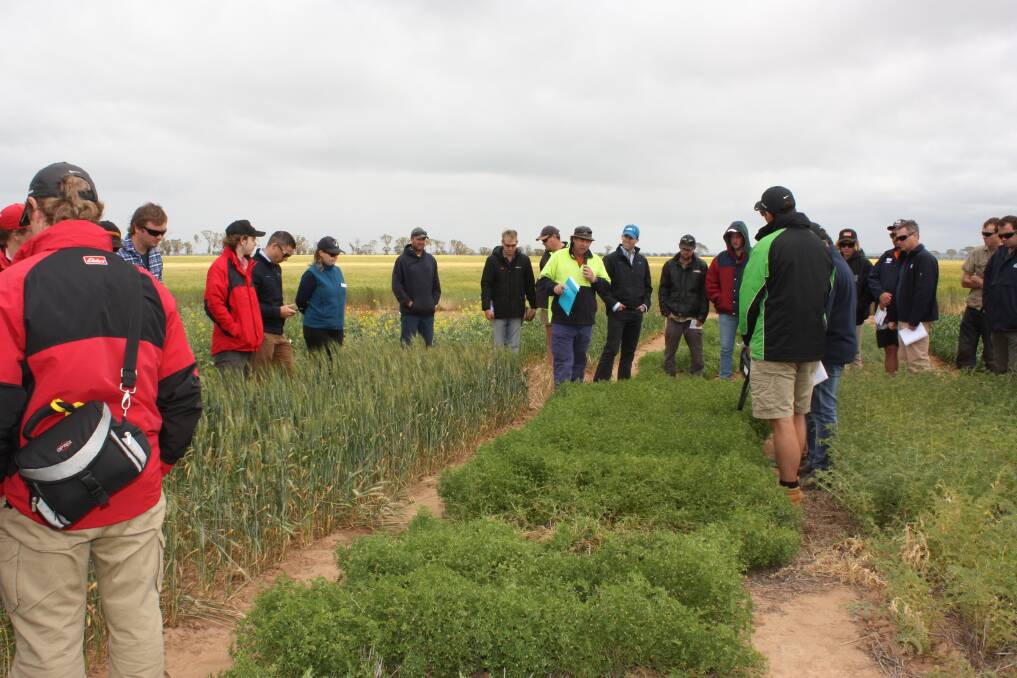 More than 70 people made their way to the Corrigin Farm Improvement Group's Spring Field Day last Thursday, where they examined a small plot trial underway at Gavin Hooper's property looking into rotational choices for profitable crops under a chemical fallowing regime.
