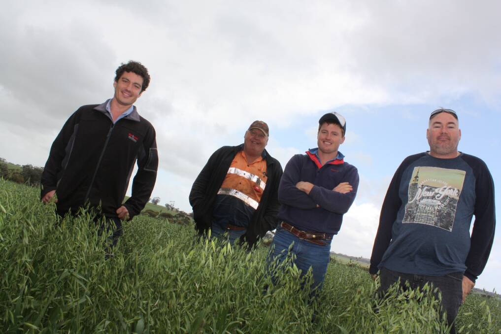  It was a quick pose for Farm Weekly last Friday. Boekeman Machinery Northam salesman Sam Moss (left), York farmers Grant and Jack Humphrey and baling contractor John Collins, watched for the next shower, in this healthy crop of Carolup oats, which is earmarked for hay. It was due to be cut this week, once the weather cleared. (A heavy shower came a minute after this photo was taken). "We got 16mm