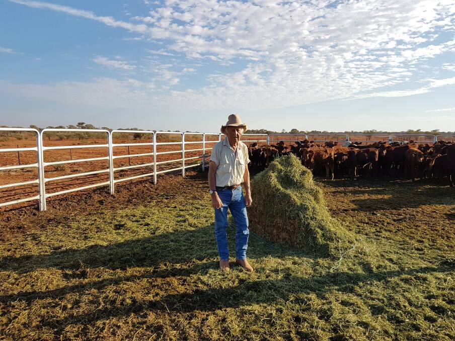  Robin Davies, Eudamullah station via Carnarvon, checks out how well some of the station's weaners have devoured lucerne hay, sourced from Rio Tinto's 'Nammuldi' site near Tom Price.