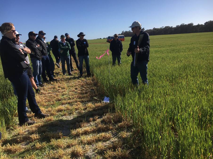 DPIRD's Stephen Davies discussing the Facey Group claying for non-wetting soils at the demonstration site.