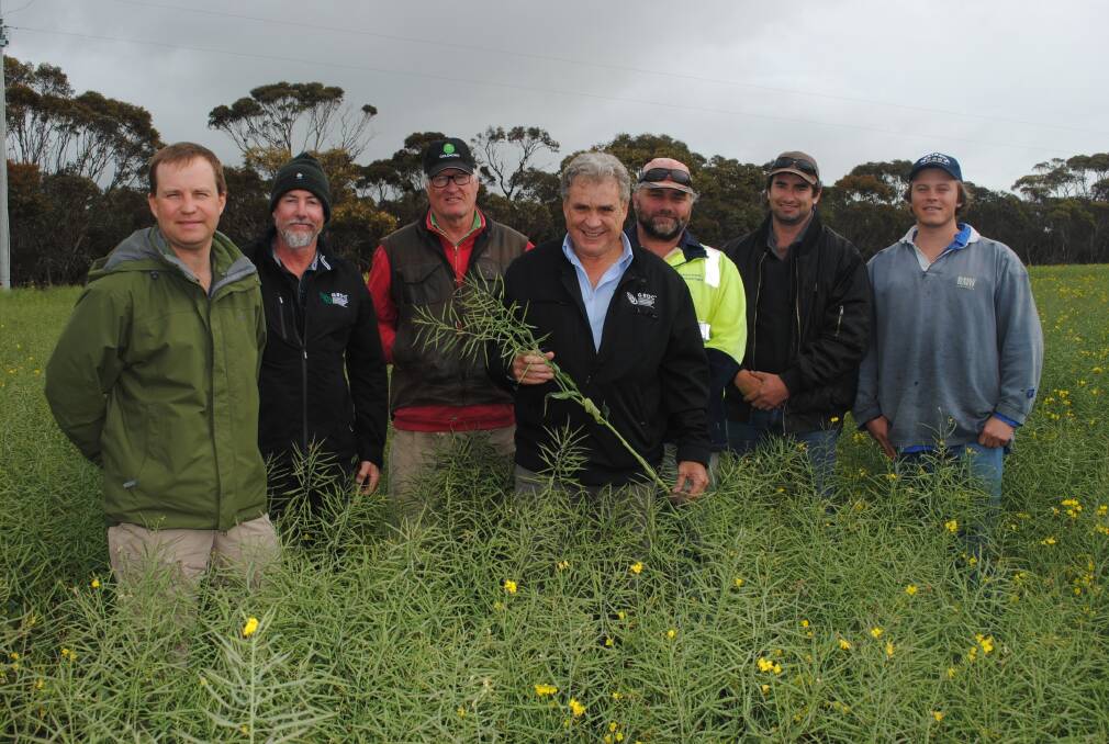  At Beaumont were GRDC Agronomy, Soils and Farming Systems manager Rowan Maddern (left), GRDC Western Regional Panel member Rohan Ford, grower Mark Biven, GRDC Western Regional Panel chairman Peter Roberts and growers George Hulm, Ashley McDonald and Tom Longmire.