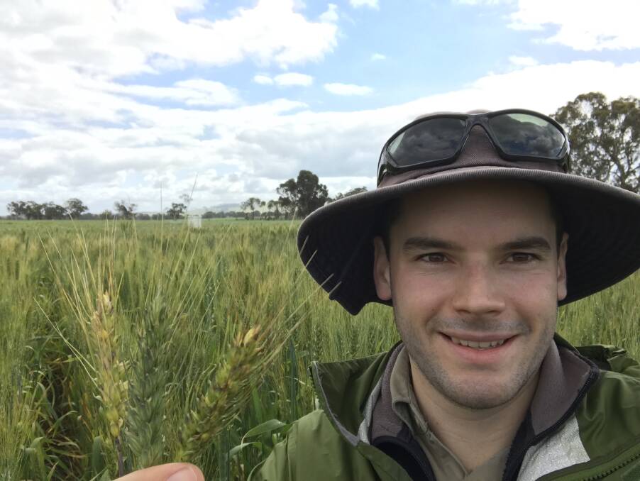 Department of Primary Industries and Regional Development 2017 grains research scholarship recipient Brenton Leske has been busy monitoring wheat plots for his thesis on how different wheat varieties respond to frost.