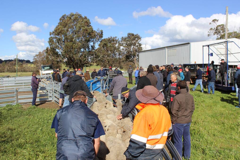  The local grower group in Darkan, Compass Agricultural Alliance, put on it's October field day last Tuesday with a strong crowd in attendance.
