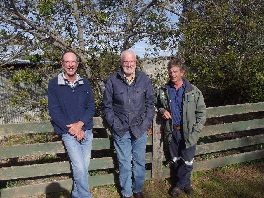 Gordon Curtis (left), Kellerberrin, Don Robertson, Gidgegannup and Grant Cooke, Grass Valley, gather at Grass Valley to discuss possible changes to WA's working dog laws.