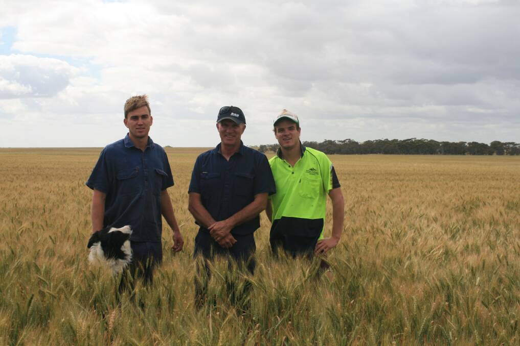 Luke (left), Murray and Kaleb Siegert, with dog Roughie, hope to start harvest on their Goomalling property in a few weeks.