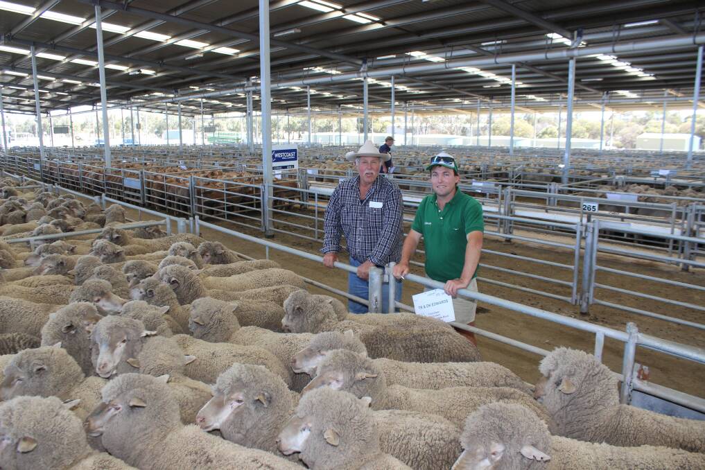 A pen of 333 March shorn, East Mundalla blood, 1.5yo Merino ewes from TR & DK Edwards sold for the sale top value of $178 at the combined agents annual October special ewe & lamb sale at Katanning last Friday. They were bought by Bill Sounness (left), W Sounness & Sons, Mt Barker, pictured here with Landmark Dumbelyung agent Scott Jefferis.