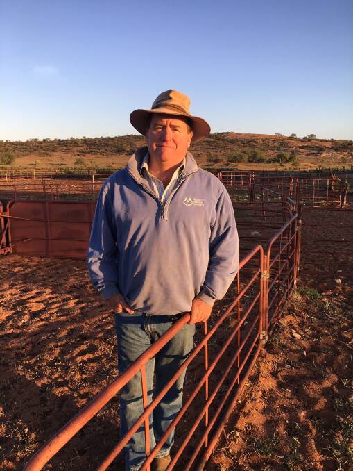 James Morgan in the sheep yards on Outalpa station. He is seeking a second term on the Australian Wool Innovation (AWI) board and has been recommended to shareholders by a board nomination committee and personally endorsed by AWI chairman Wal Merriman.
