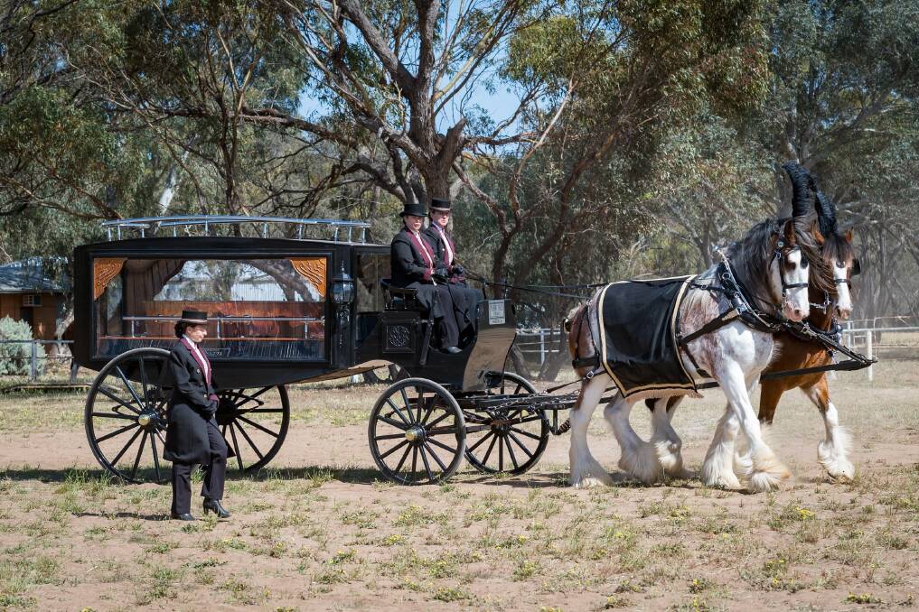  The rare hearse owned by Perth Horse and Carriage, led by a pair from Colonial Clydesdales, was the star of the LiveLighter Heavy Horse Festival in Northam last month.