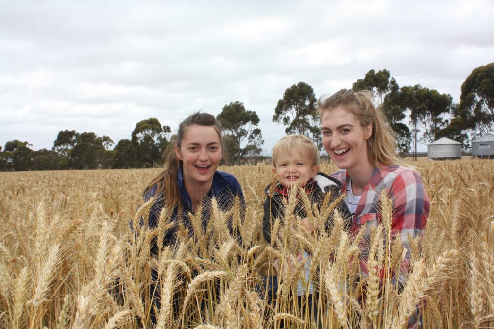 The stop-start harvest that typifies the South Coast Wheatbelt, failed to diminish smiles on the Mansell farm at Beaumont, east of Esperance last week. Waiting for the moisture to drop were sisters Zoe (left) and Honni Mansell, with Honni's son Thomas, crouched in a healthy crop of Mace wheat that will yield above budget estimates. According to Zoe and Honni's father Steve, the soft finish has bee