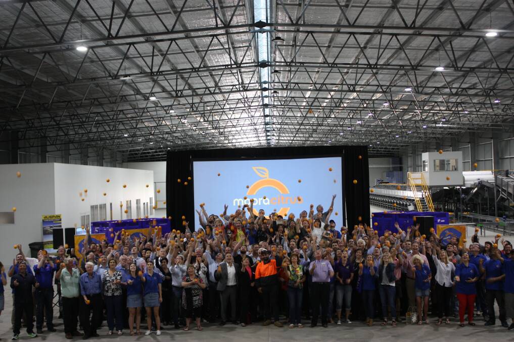 Celebrations were in order        in Bindoon last week as the Moora Citrus Packers new $7 million pack shed was opened. The facility is the largest citrus packing facility in WA.