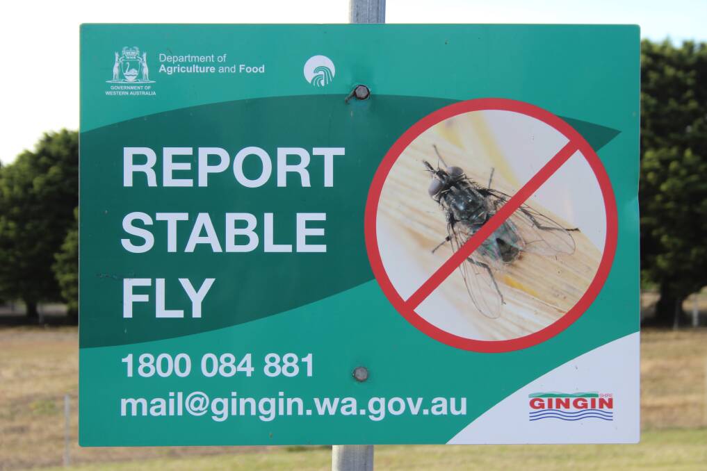 Efforts are underway to minimise and possibly eradicate stable fly in WA.