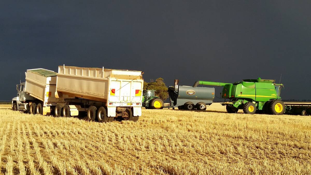 Storms brought harvest to a halt several times last week on David Riches' Watheroo property.