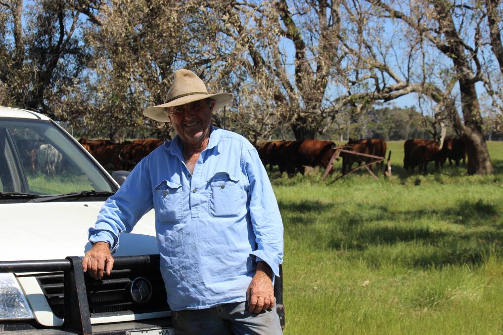  Cattle producer Leigh McLarty is part of the fifth generation working the land at the historical Blythewood property just south of Pinjarra.