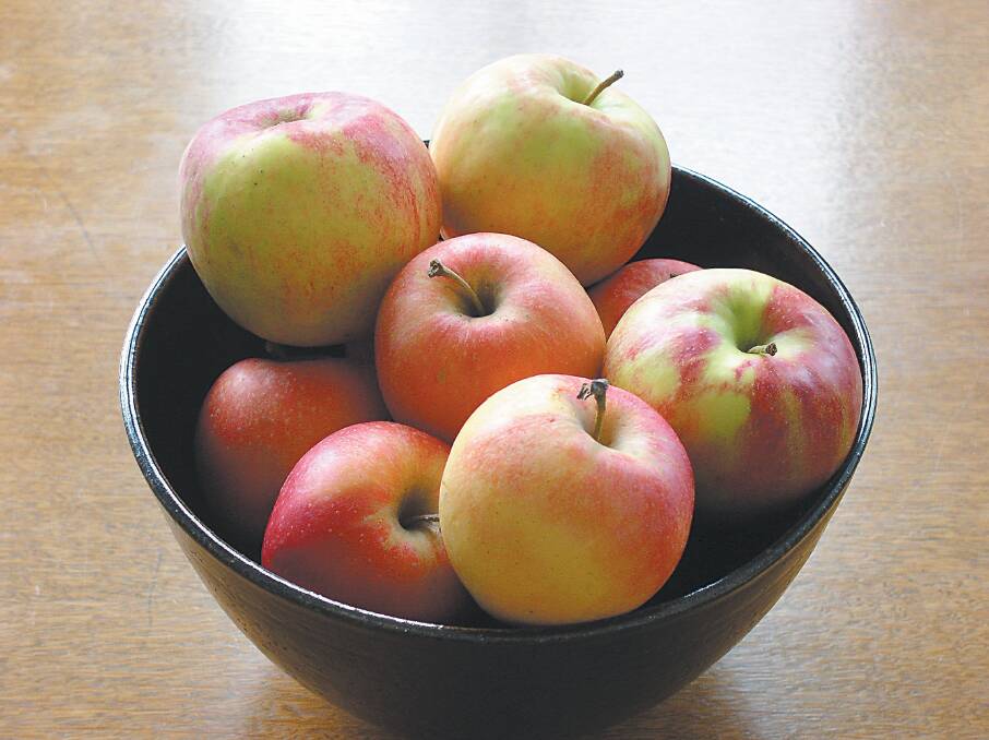 Report examines fruit export opportunities