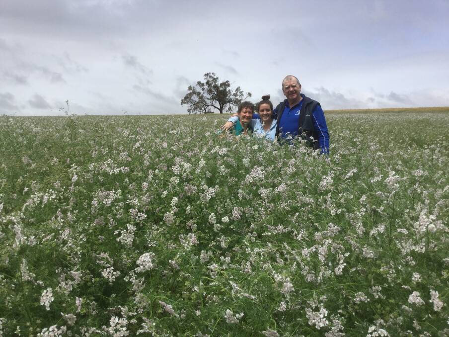 Sue (left), Rebecca and Paul Kelly standing in a crop of coriander on the family farm. Rebecca plans to return to work on the farm next year. 