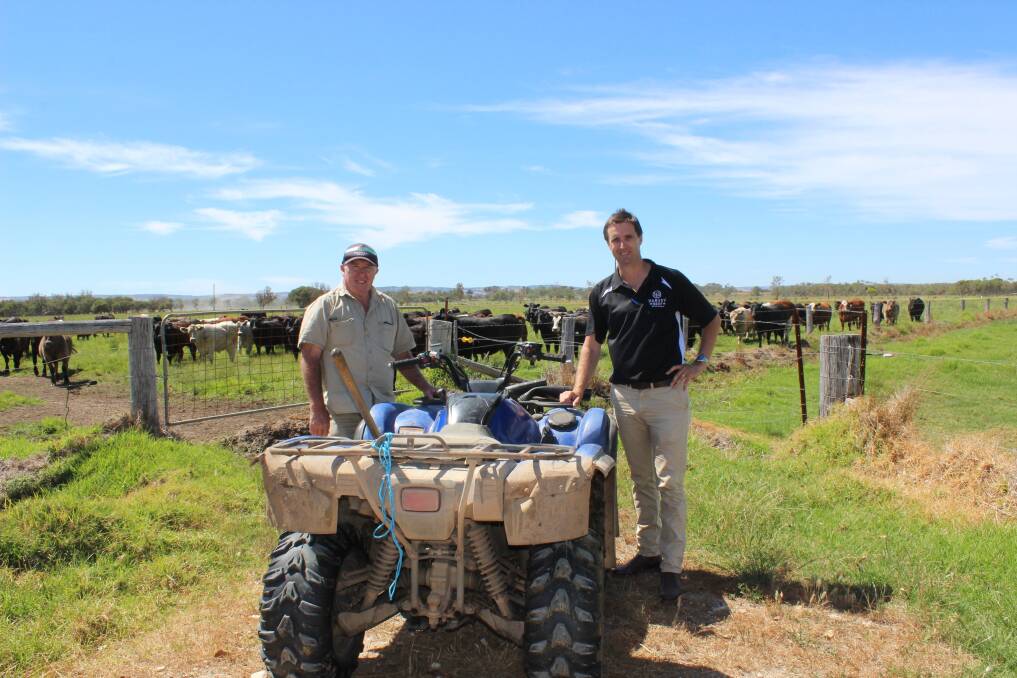 Former dairy farmer Graham Manning (left) and Harvey Beef livestock buyer Campbell Nettleton inspecting beef cattle being backgrounded on the Manning farm.