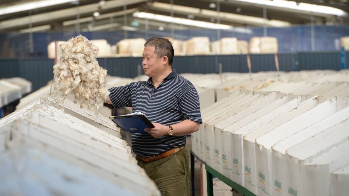  Victoria Wool Processor, Sydney Manager, Harry Ying inspecting fleece at the Australian Wool Exchange, Guildford auctions recently. Photo: Rachel Webb.