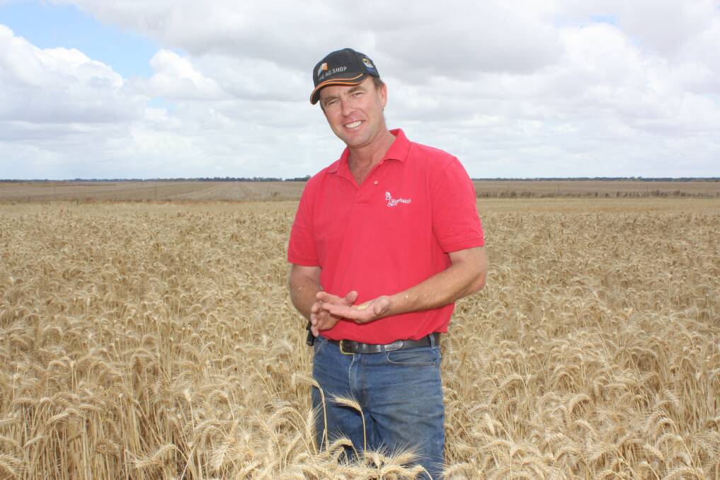 2017 was the best season in memory for Esperance grower David Cox, pictured here in his Scepter wheat crop that averaged 5.8 tonnes per hectare.