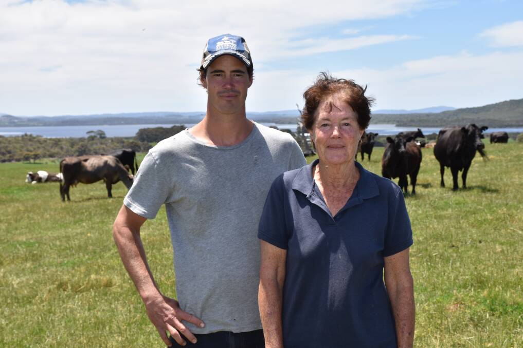 Mark Tippett and his mother Viv with some of this year's cows and calves. They are typical of South Coast farmers who rely on leasing farmland to increase the scale of their operation.