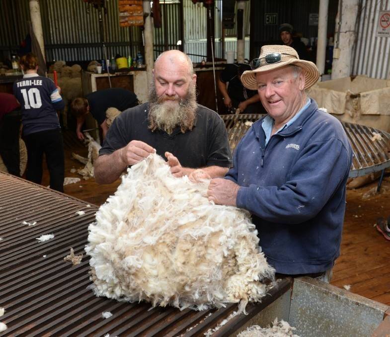 Dave Roach (left), Gilgandra, New South Wales, classing wool with Malcolm Webb, 'Miagunyah', also NSW.