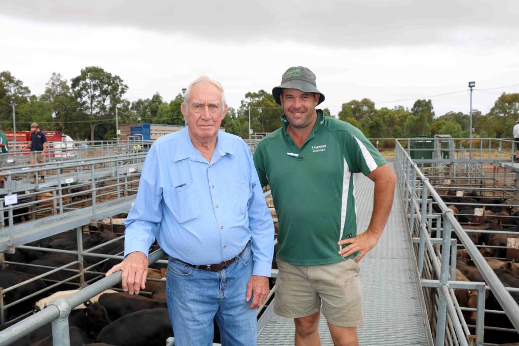 Jim Firns (left), Boddington, inspected the cattle with Landmark Williams agent Ben Kealy before the Boyanup store sale. Trading as Oldpenny Holdings, Mr Firns sold several lines of cattle to a top of $1037 for nine beef heifers.