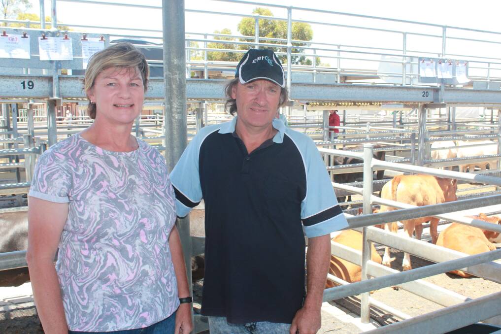 Cranbrook cattle producers Judy and Fred Smith were interested in viewing the entries in this year's Harvey Beef Gate 2 Plate Challenge at the Mt Barker Regional Saleyards last Saturday.