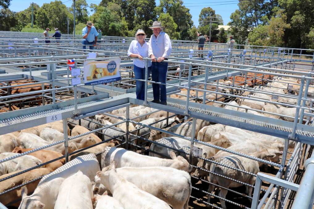 Gaye and Bruce Campbell, Cooara Charolais stud, Keysbrook, standing above their champion pen of steers in the Charolais promotion at Boyanup.