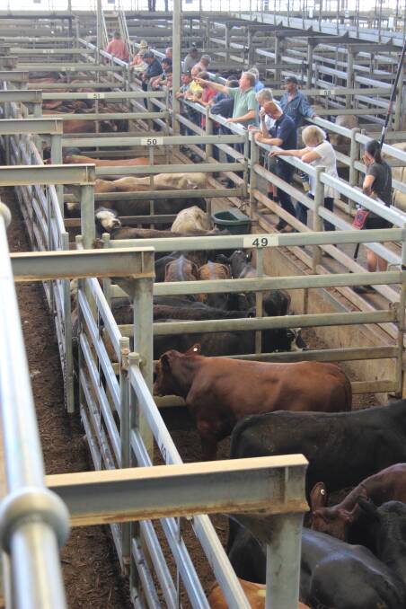 The future of  the Muchea Livestock Centre will be raised at an industry stakeholder meeting in March.