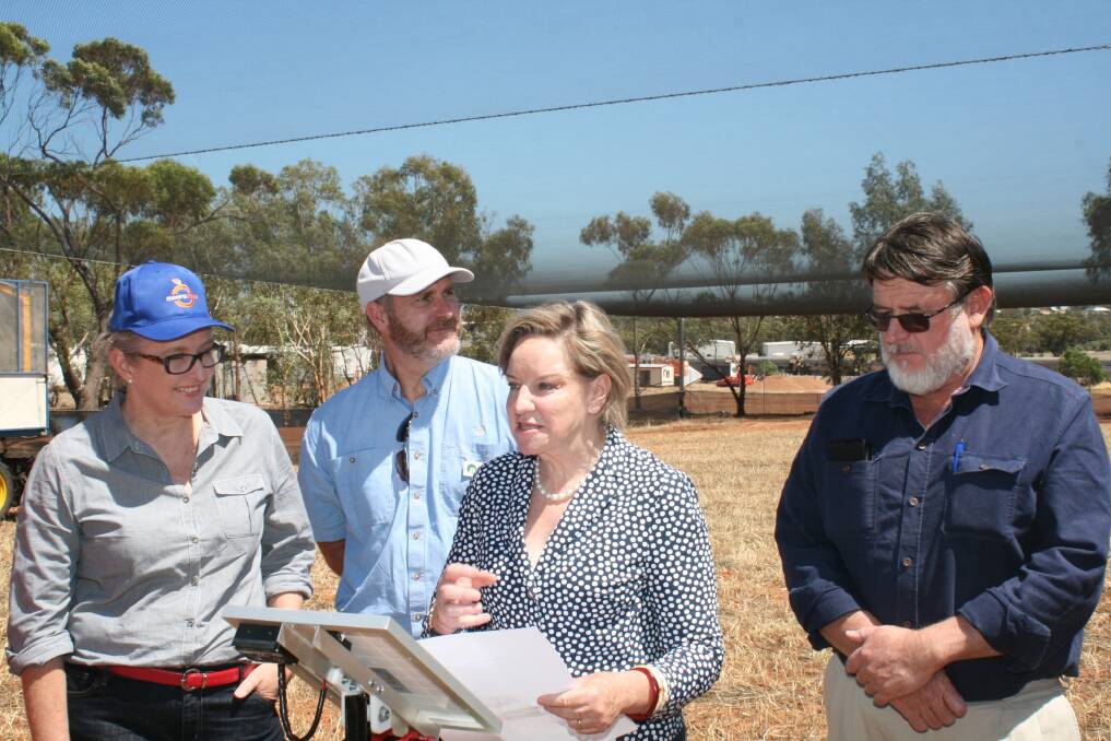 Sue Middleton (left), Wongan Hills, DPIRD development officer Christiaan Valentine, Agriculture and Food Minister Alannah MacTiernan and Dan Sanderson, Grass Patch, announcing the new connecting farms grant.