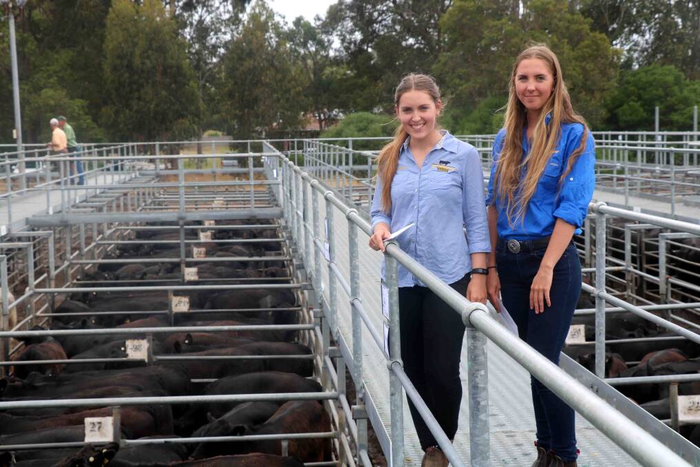 Courtney (left) and Diana Muir, Manjmup, were busy putting up information cards for their family's calves at the Boyanup weaner sale which sold to $1147.