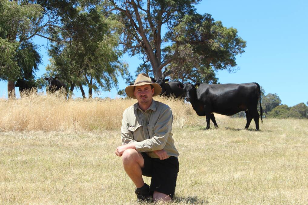 Beef producer Ryan Gibbs believes the do-ability, fertility and marketability of the Angus breed makes them the best fit in their family farming operation.