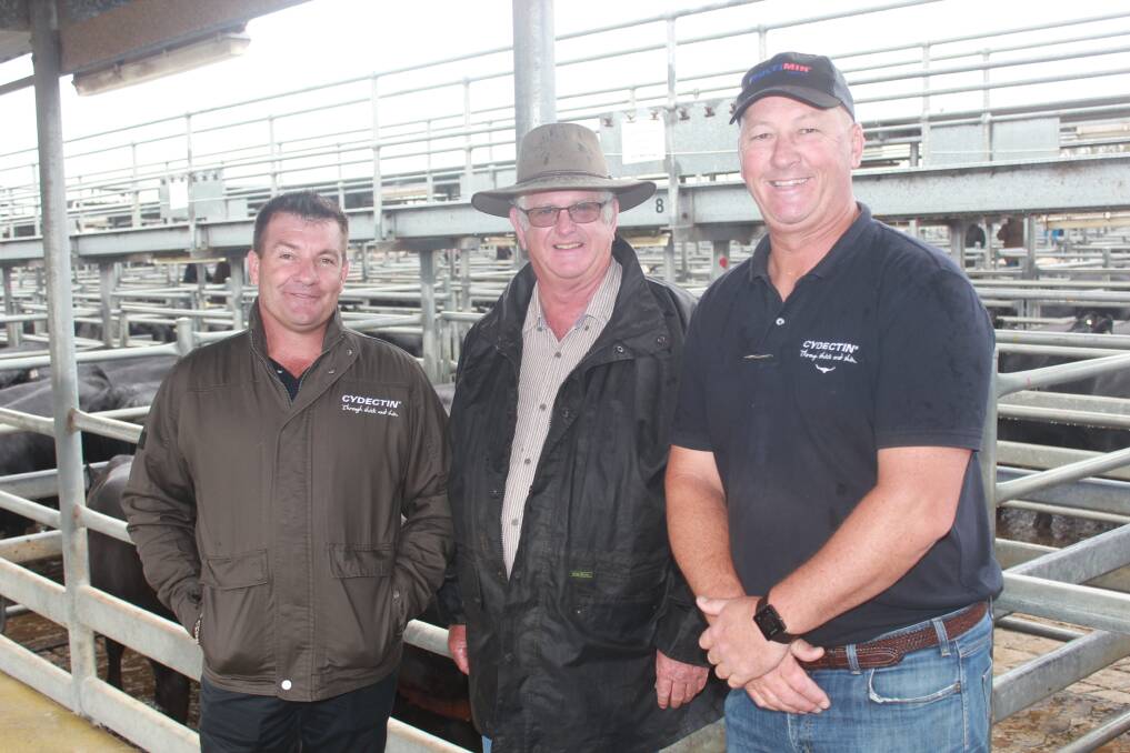Virbac northern territory sales manager Darren Hendry (left), Warren Forbes, Dundeal Holdings, Narrikup and Virbac South Australian area sales manager Stephen Fisher, Mount Gambier, SA, caught up prior to the Landmark Mt Barker Blue Ribbon Breeders Sale where Dundeal Holdings offered over 170 females.