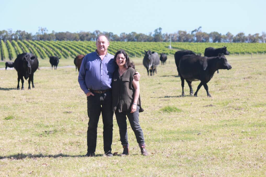 Redmond farmers Richard and Irene Bunn with some of their 380 Angus breeders. In the background is the Bunn Wines vineyard, with the Bunns currently producing 2000 cases of Shiraz and Cabernet a year.