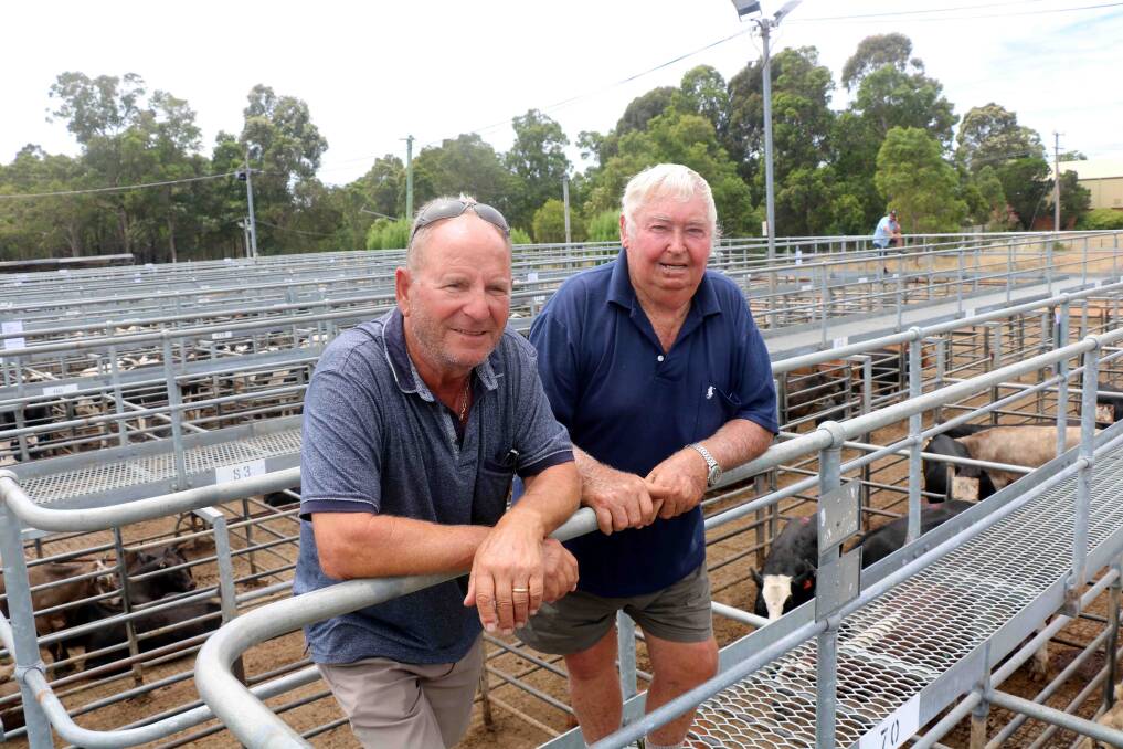 Tony Pinzone (left) and Larry Ferris, Brunswick, were at the Landmark store sale at Boyanup where Mr Ferris sold cattle to a top of $1040 for a heifer and $960 for an appraisal Friesian steer.