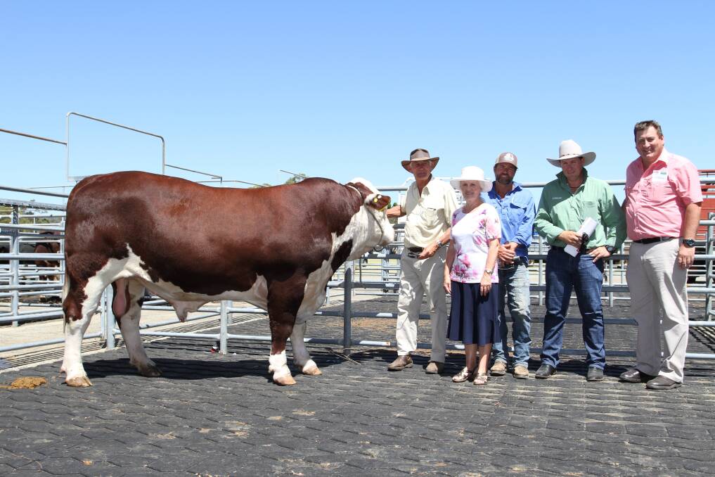 With the poll sire Yallaroo Miracle M012 (P) that sold for $20,500 to Forrest View Grazing, Dinninup, were Yallaroo stud principals Rob (left) and Heather Francis, buyer Paul Hawkins and his agent Ben Cooper, Landmark Bridgetown and Elders stud stock manager Tim Spicer.