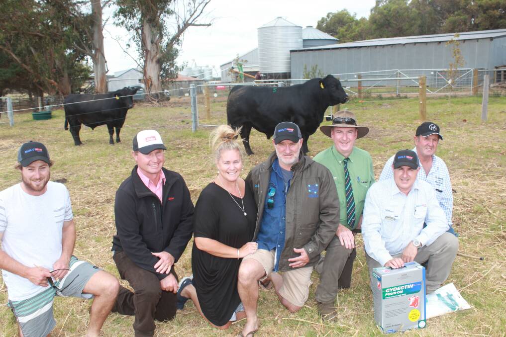With the $11,000 top-priced bull, Tullibardine Magic Mike, in the sale were buyer Zac Hortin (left), Torbay, Elders Albany territory sales manager David Lindberg, buyers Leanne and Rob Hortin, Torbay, Michael Lynch, Landmark Albany, Virbac area sales manager Tony Murdoch, who donated a five litre Cydectin pour on to the top price Angus buyers and Tullibardine Angus stud principal Alastair Murray.