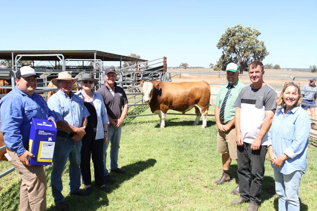 With one of the top-priced bulls, Willandra Muscles M72, were Zoetis South West representative and top-priced bull sponsor Jarvis Polglaze (left), Charles, Beryl and Peter Cowcher, Willandra stud, Landmark Williams agent Ben Kealy and buyers Danny Partridge and Jenny Maye, Tullamore Park Simmental stud, Busselton.