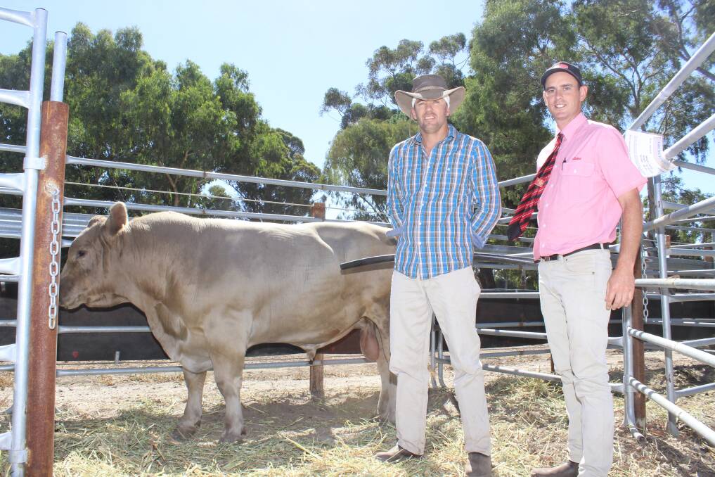  With the $7750 top-priced Murray Grey bull at the sale, Young Guns Midas M65, were Young Guns stud principal Lindsay Bagshaw (left), Hyden and Elders South West livestock manager Michael Carroll.