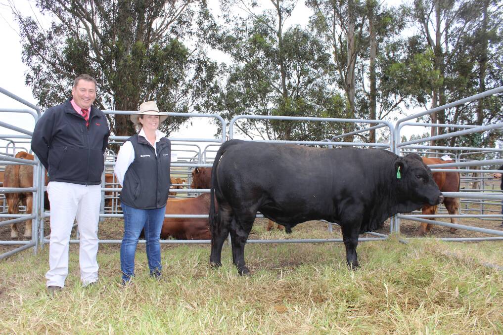  Successful bidder on the $7750 top-priced Black Gelbvieh was Elders WA stud stock manager Tim Spicer pictured here with Summit's Alexandra Riggall.