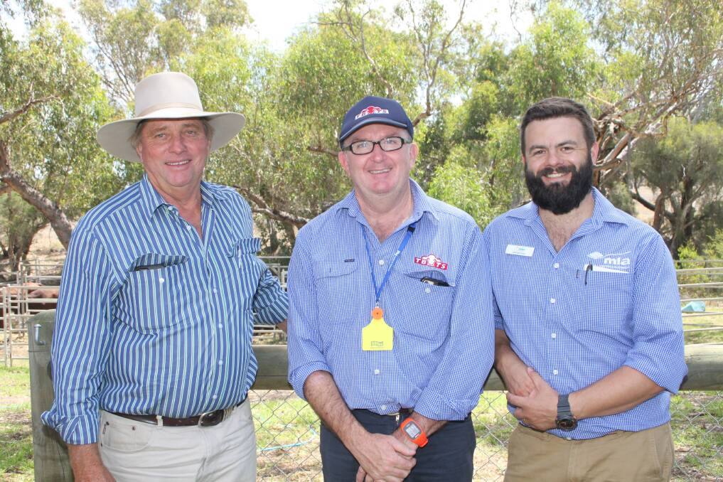  Field day speakers included SGBAA breed classifier Russell Gray (left), Queensland, Tropical Beef Technology Services technical officer Paul Williams, Queensland and MLA's MSA business development officer Jarrod Lees, New South Wales.