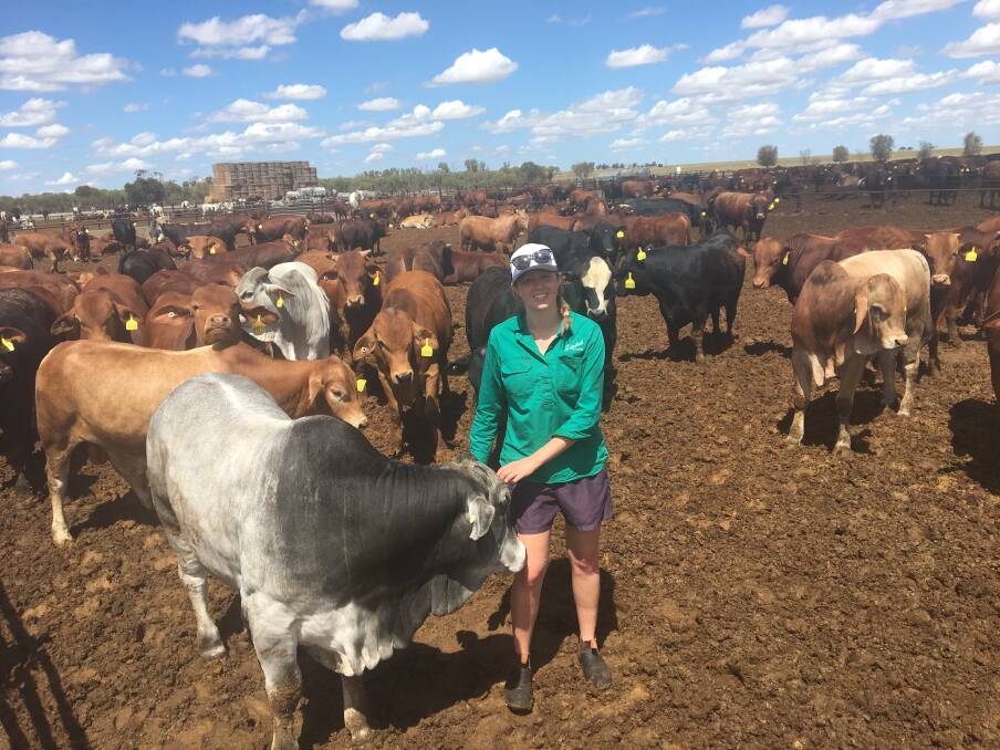  Bridie Luers' university practical placements all over the country, particularly in the northern areas, have led to her developing a strong passion for cattle production; an area that she hopes to pursue in her career.