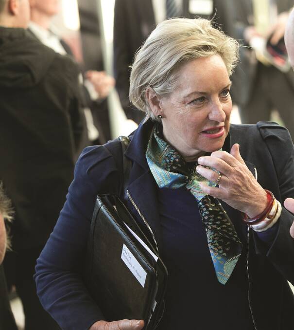 Agriculture and Food Minister Alannah MacTiernan said the State government views the building and operating of new saleyards as the role of the private sector.