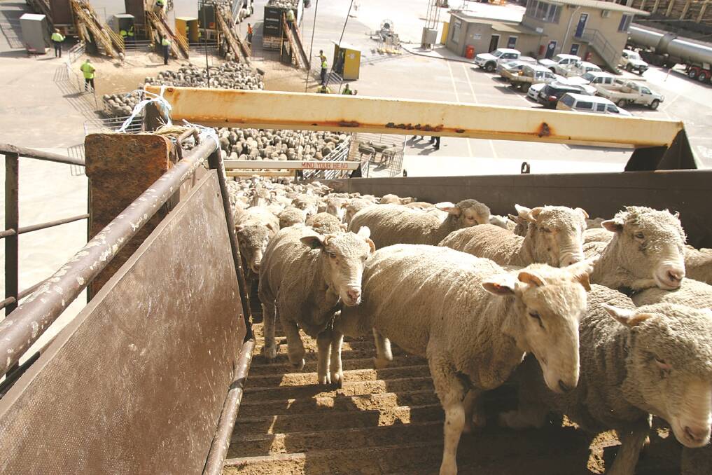 Turkey seeks Aussie sheep and breeders