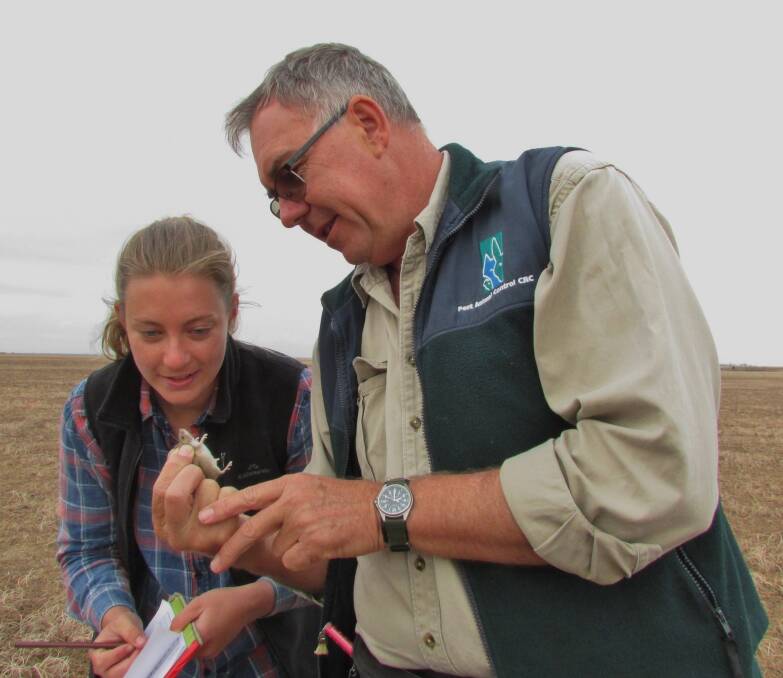  CSIRO researchers Nikki Van de Weyer and Steve Henry record mouse population data during a recent monitoring exercise through south eastern Australia.