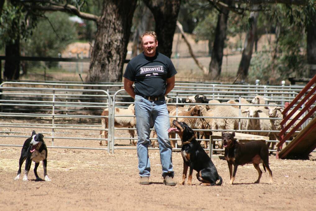  Simon Leaning with three of his championship sheep dogs Chidlow Floss (left), Marionvale Will and Marionvale Mindy.